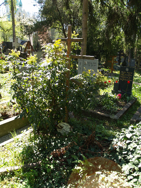 Ольшанське кладовище, частина 2ob, відділ 18, поховання №389.